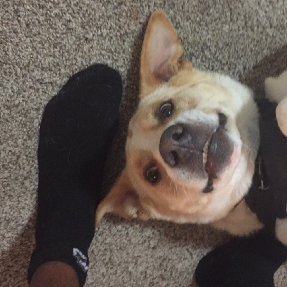 Meet your Posher, Bryson